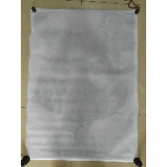 奥林匹克学院学位证电子图